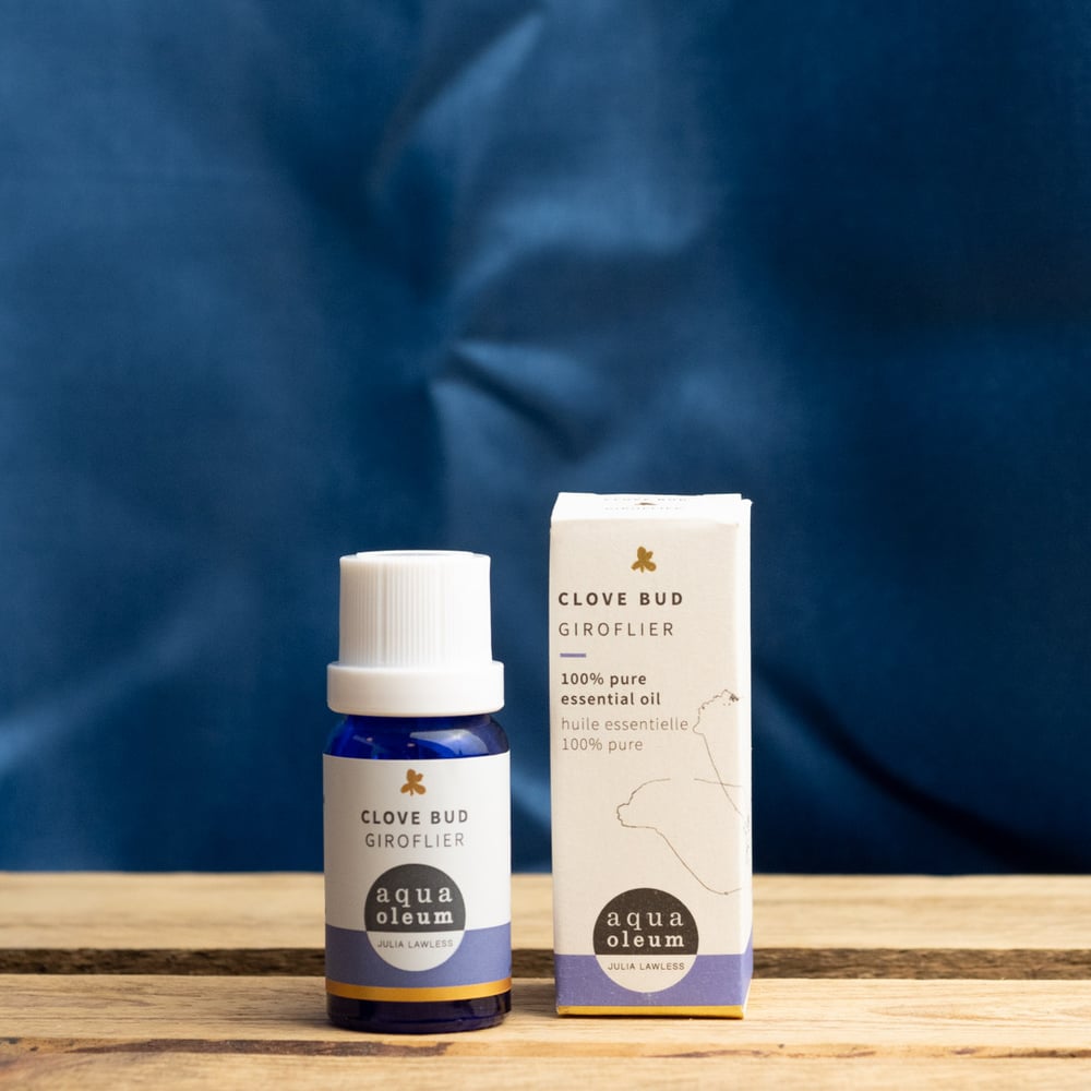 Clove Bud Essential Oil by Aqua Oleum