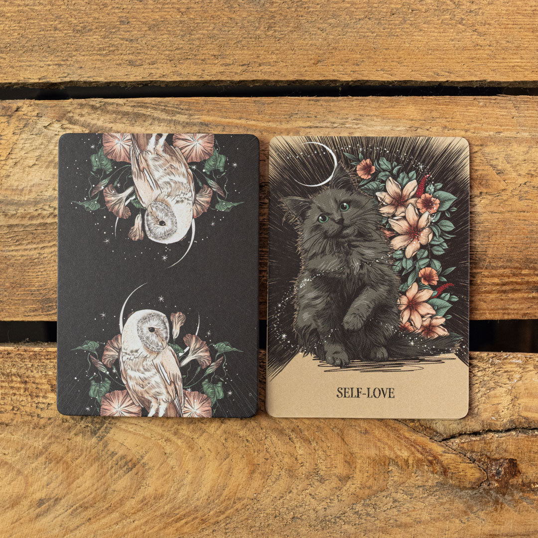 Fated: A Pocket Love Oracle Deck by Athene Noctua on a wooden background