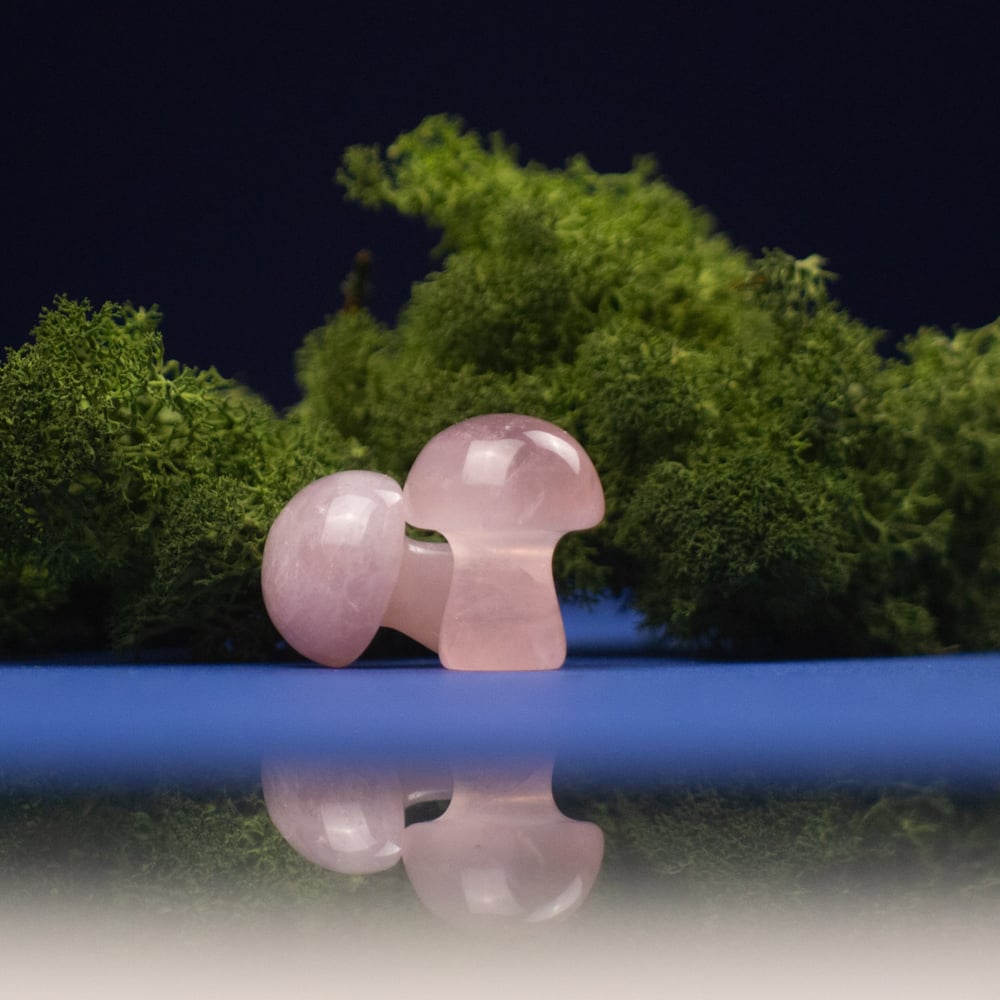 Tiny Mushroom Crystal