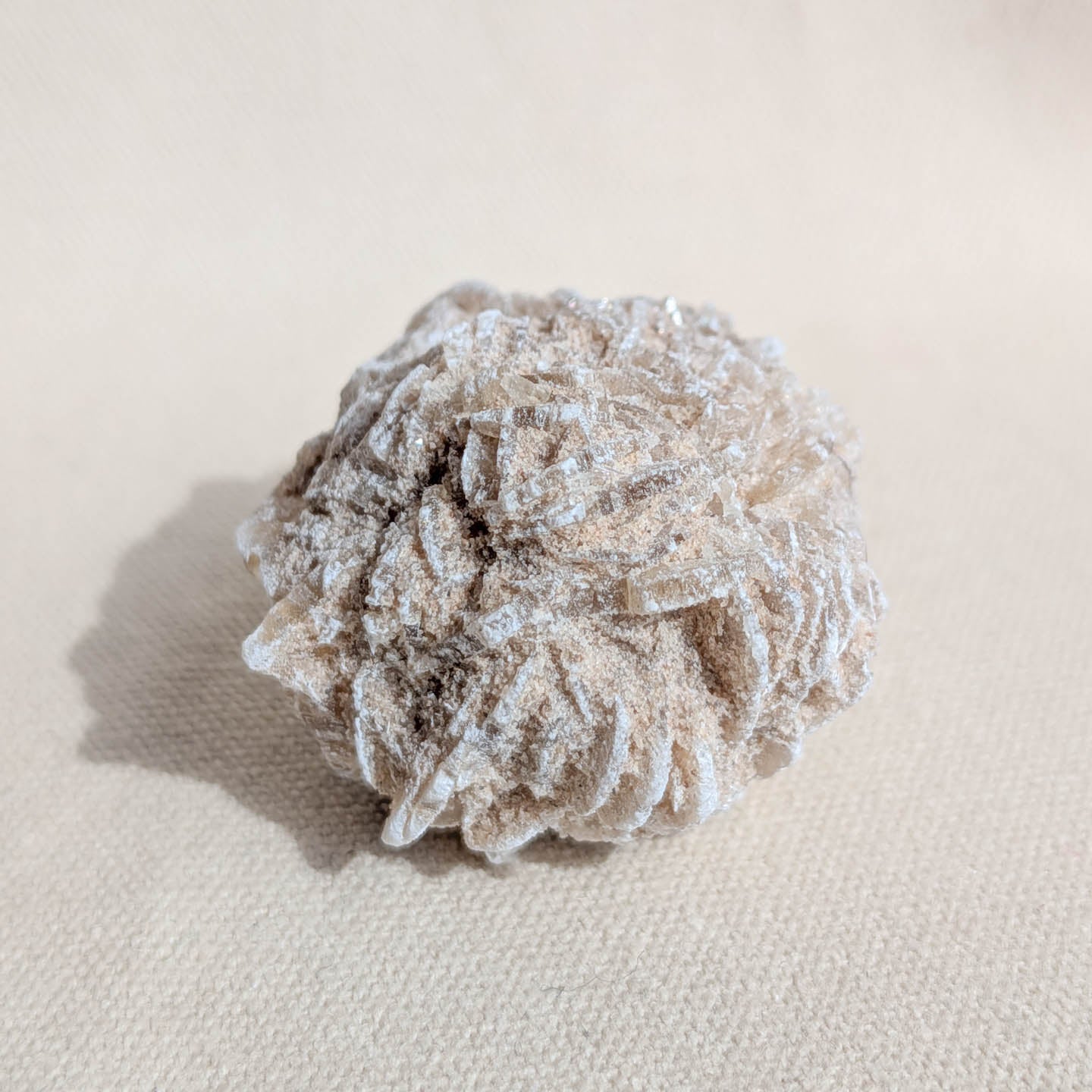 Desert Rose Selenite Crystal
