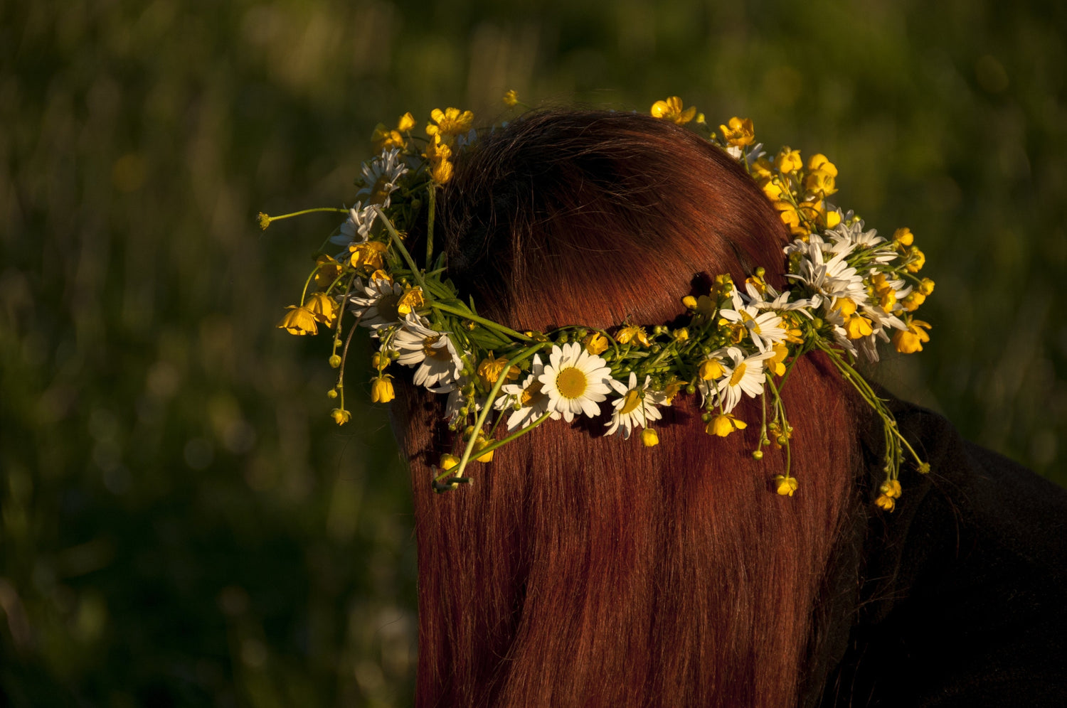 Ostara / Beltane