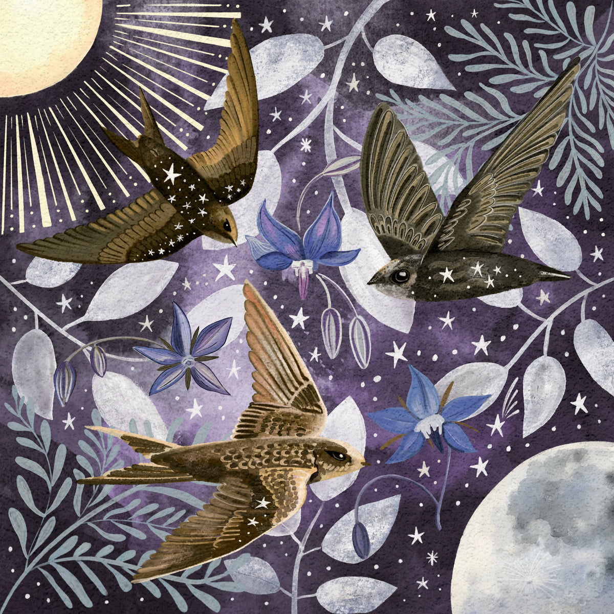 Celestial swifts - star birds