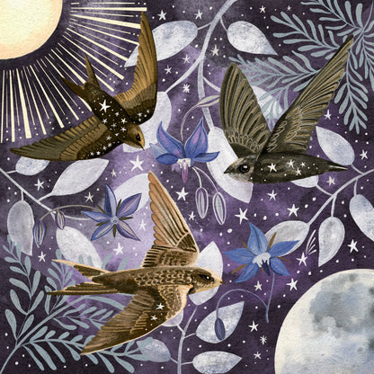 Celestial swifts - star birds