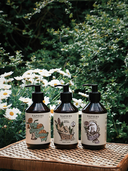 Napiers Wild Rose & Lavender Hand and Body Wash