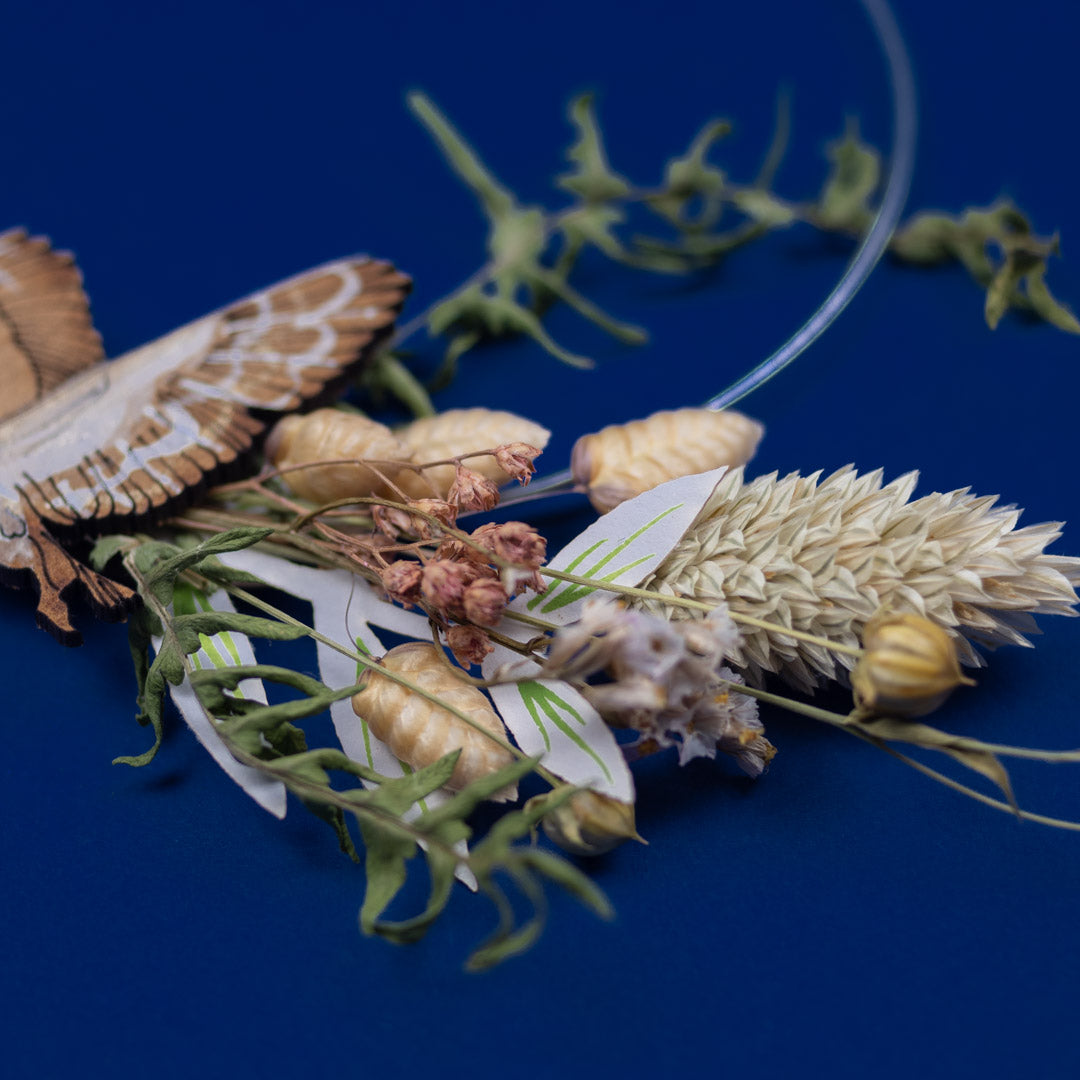 Dried flowers and butterfly on a blue background