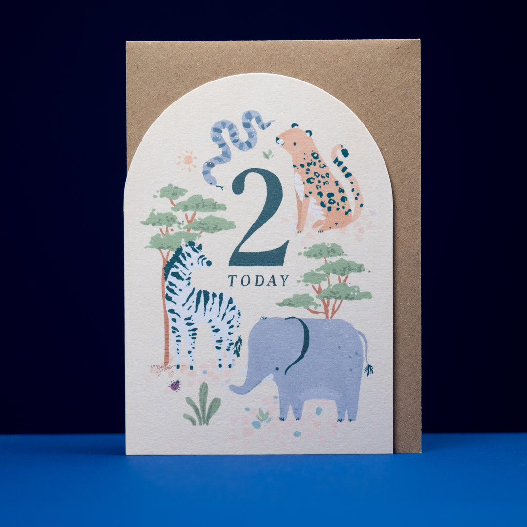 Baby & Toddler Age Cards - 1, 2 or 3 by Sister Paper Co.