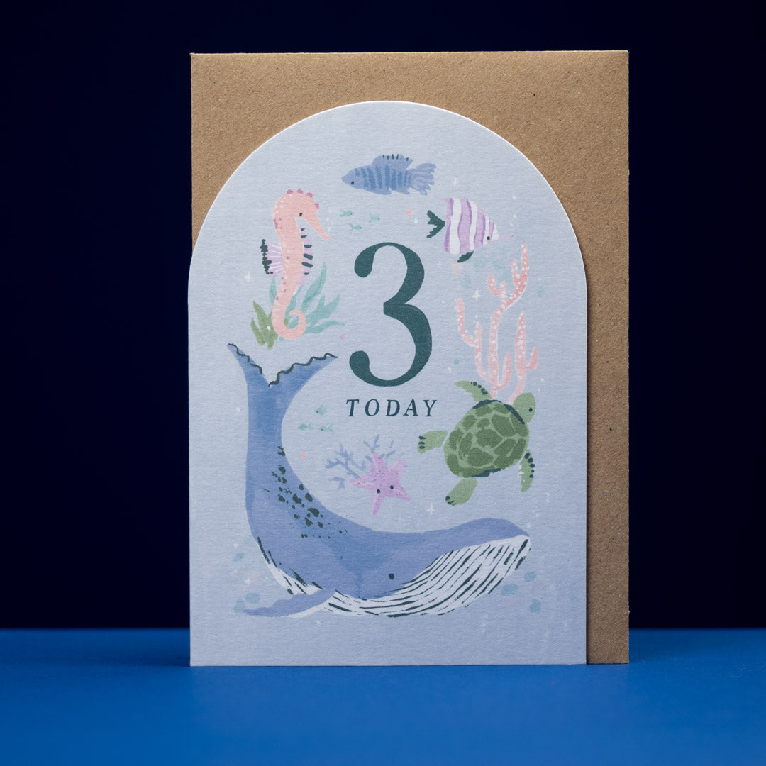 Baby & Toddler Age Cards - 1, 2 or 3 by Sister Paper Co.