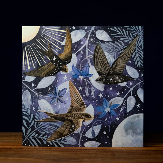 Celestial swifts - star birds