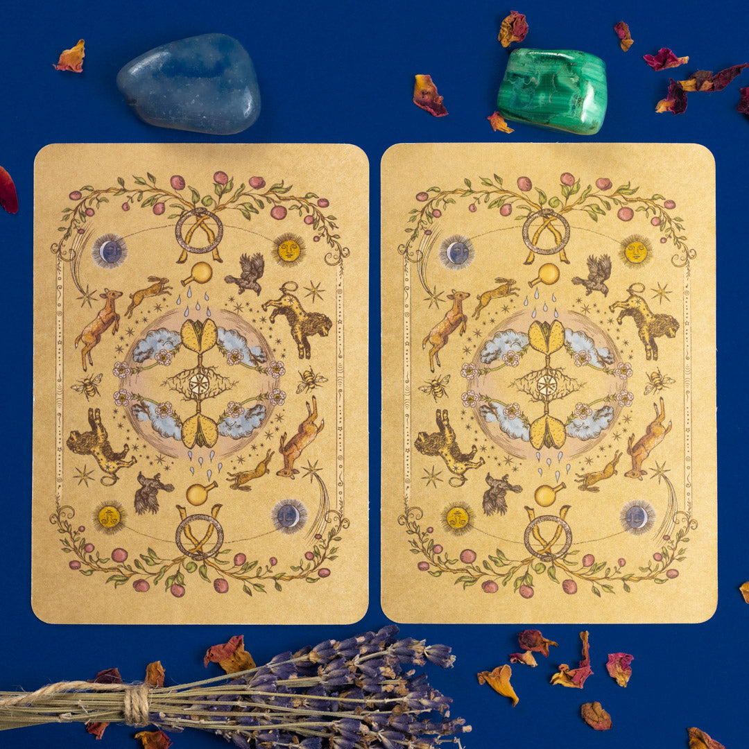 The Herbal Astrology Oracle Card Deck