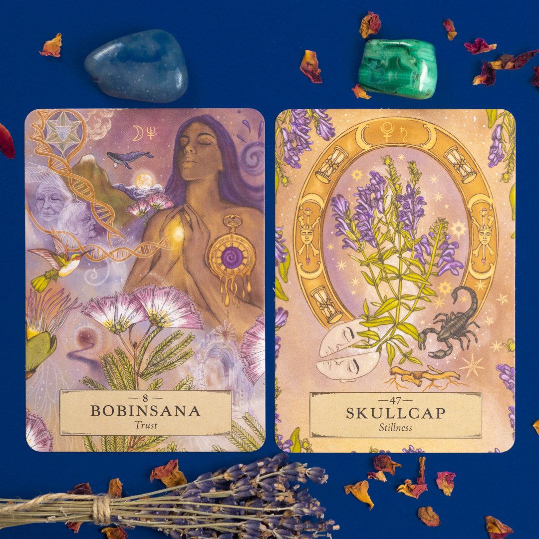 The Herbal Astrology Oracle Card Deck