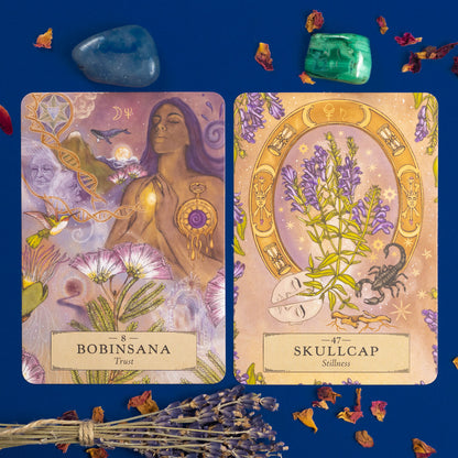 The Herbal Astrology Oracle Card Deck