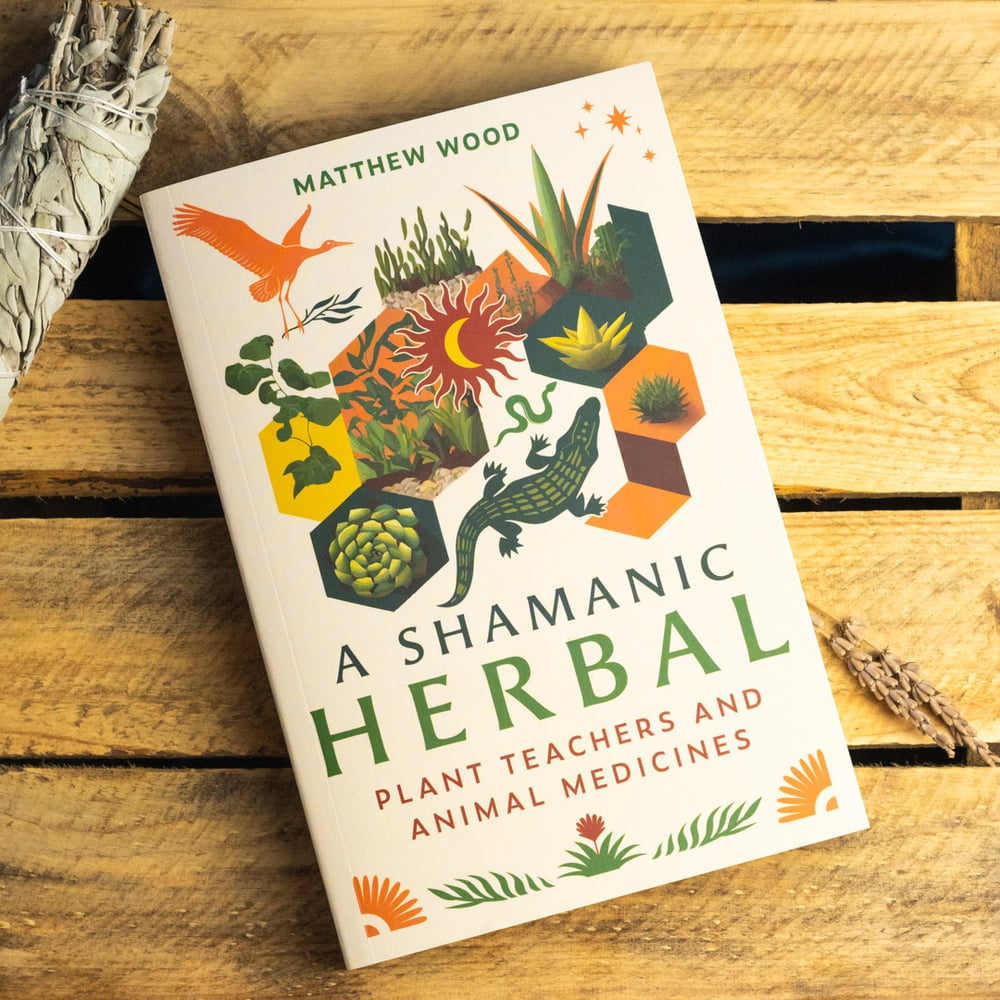 A Shamanic Herbal book by Matthew Wood