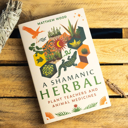 A Shamanic Herbal book by Matthew Wood