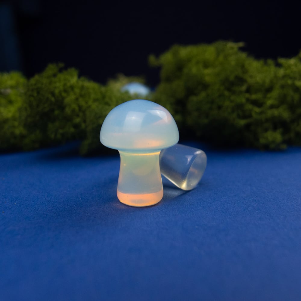 Tiny Mushroom Crystal